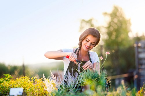 Hedge cutting service for Canary Wharf residential gardens and terraces