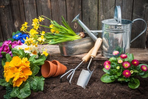 Professional tree care and pruning in a modern London district