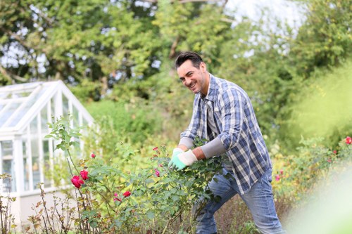 Professional tree surgeon performing careful pruning work