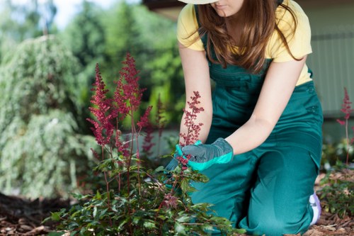 Screen-reader friendly structure for tree surgeons content